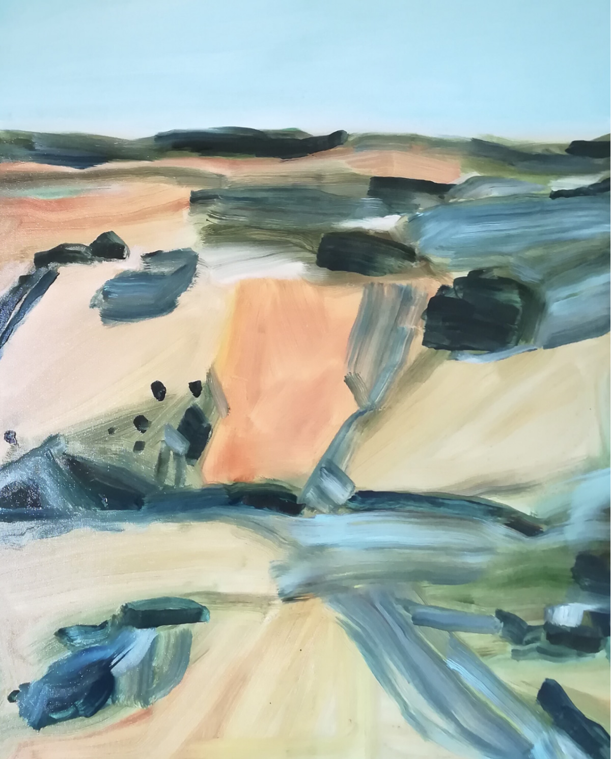 paesaggio-dania